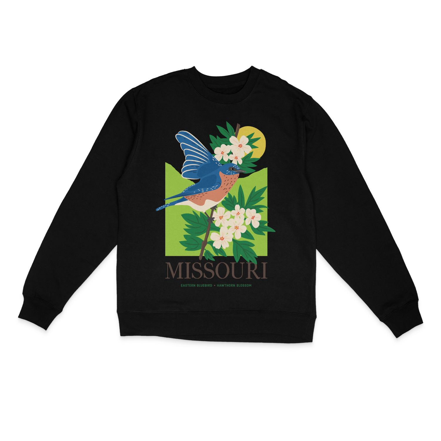 Missouri Blue Bird Sweater