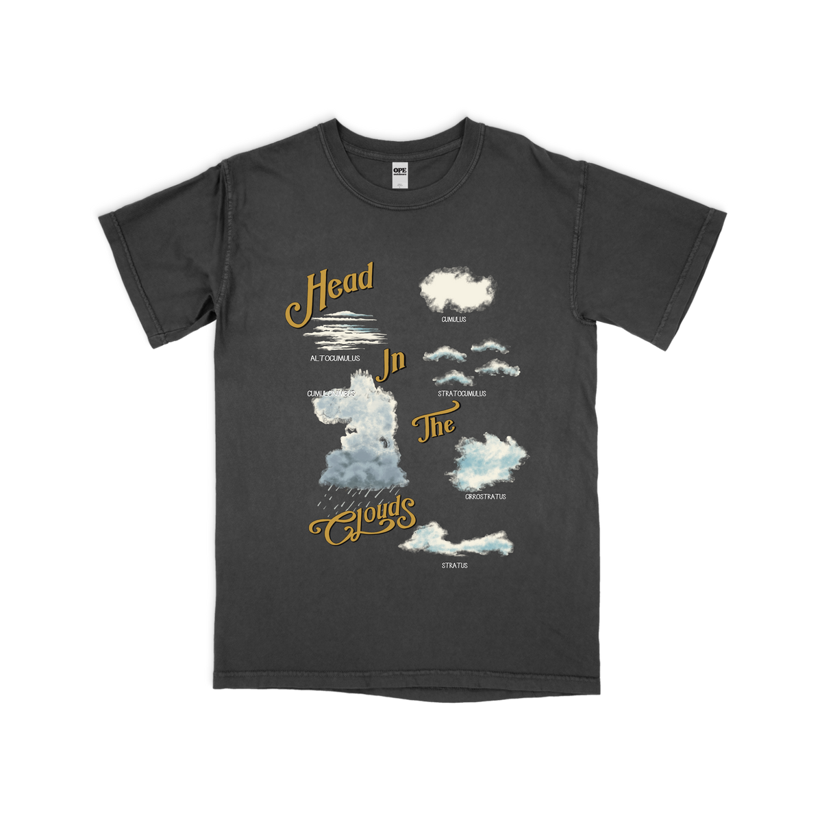 Head in the Clouds Shirt, Aesthetic Shirt for Women, Trendy