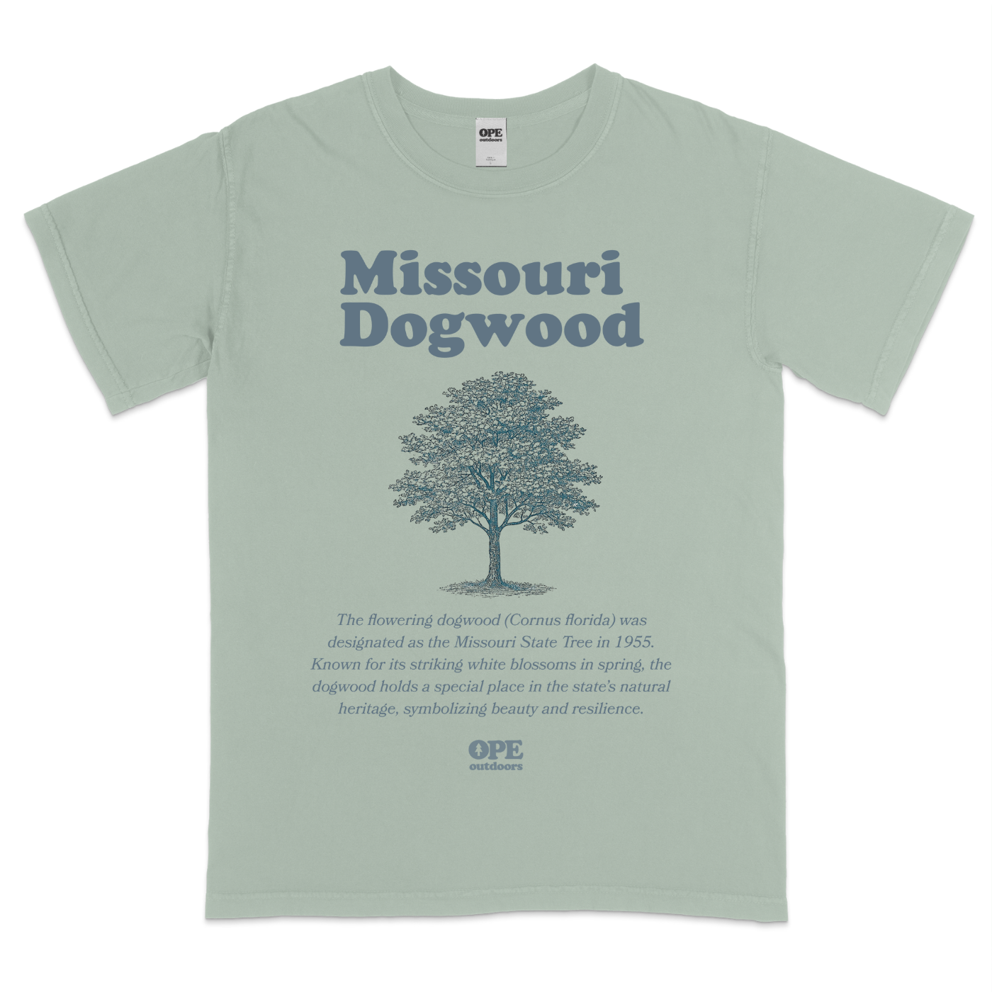 Missouri Dogwood Tree Tee