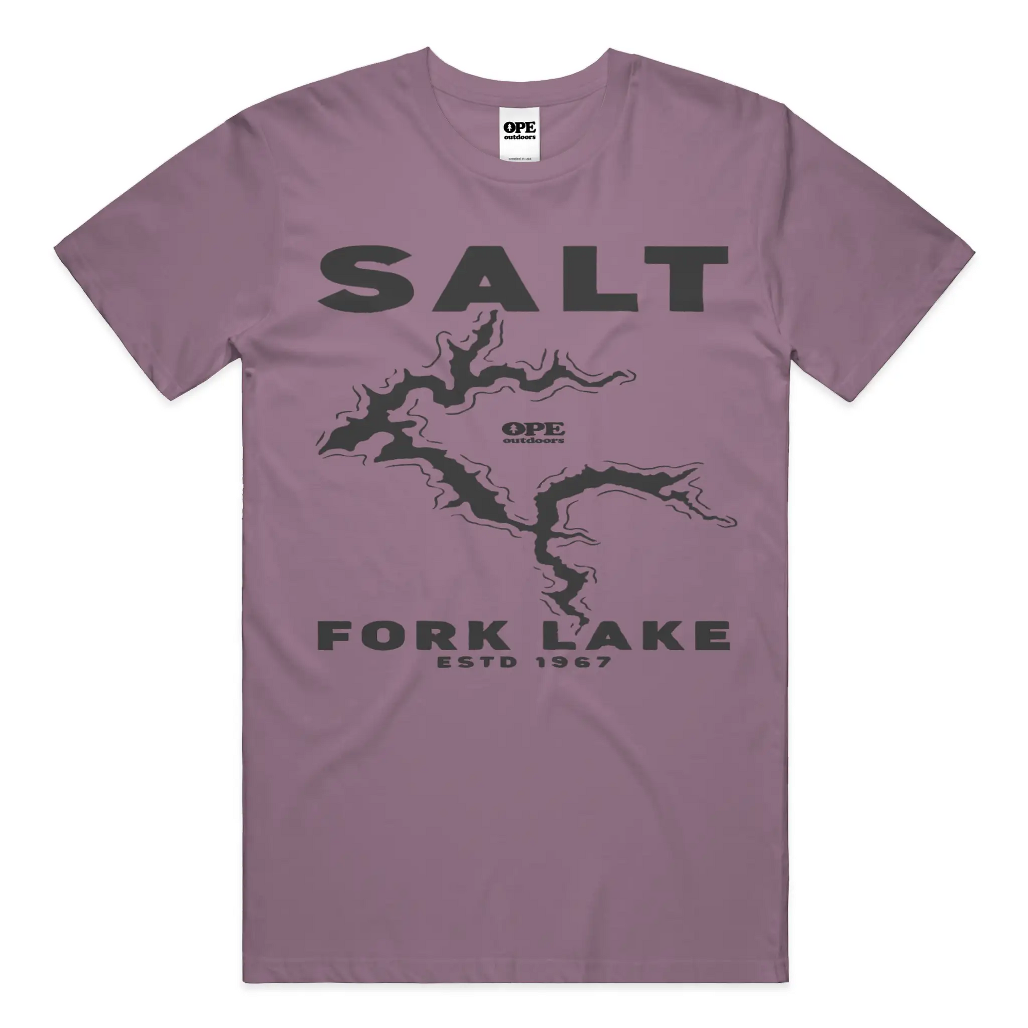 Salt Fork Lake T Shirt