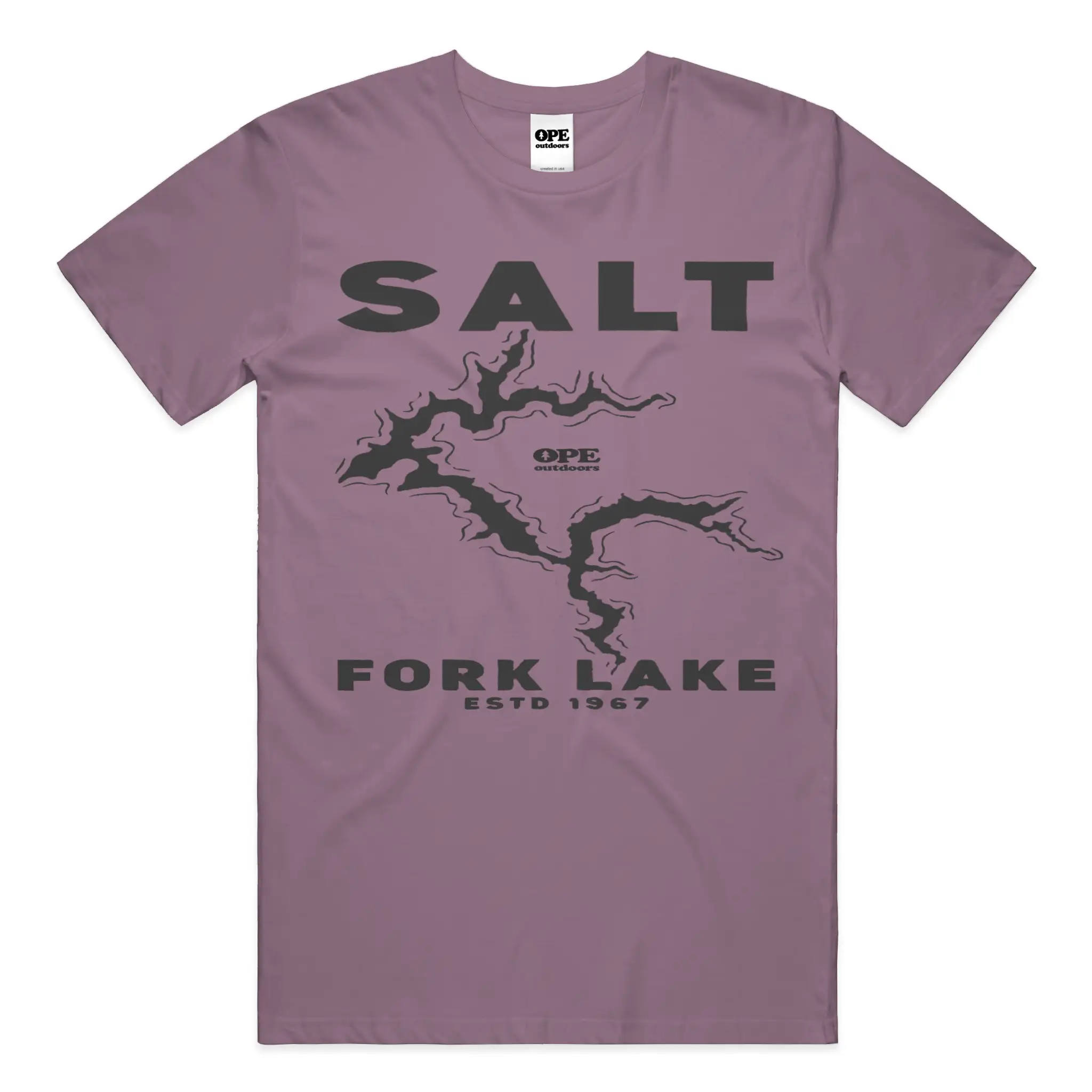 Salt Fork Lake T Shirt