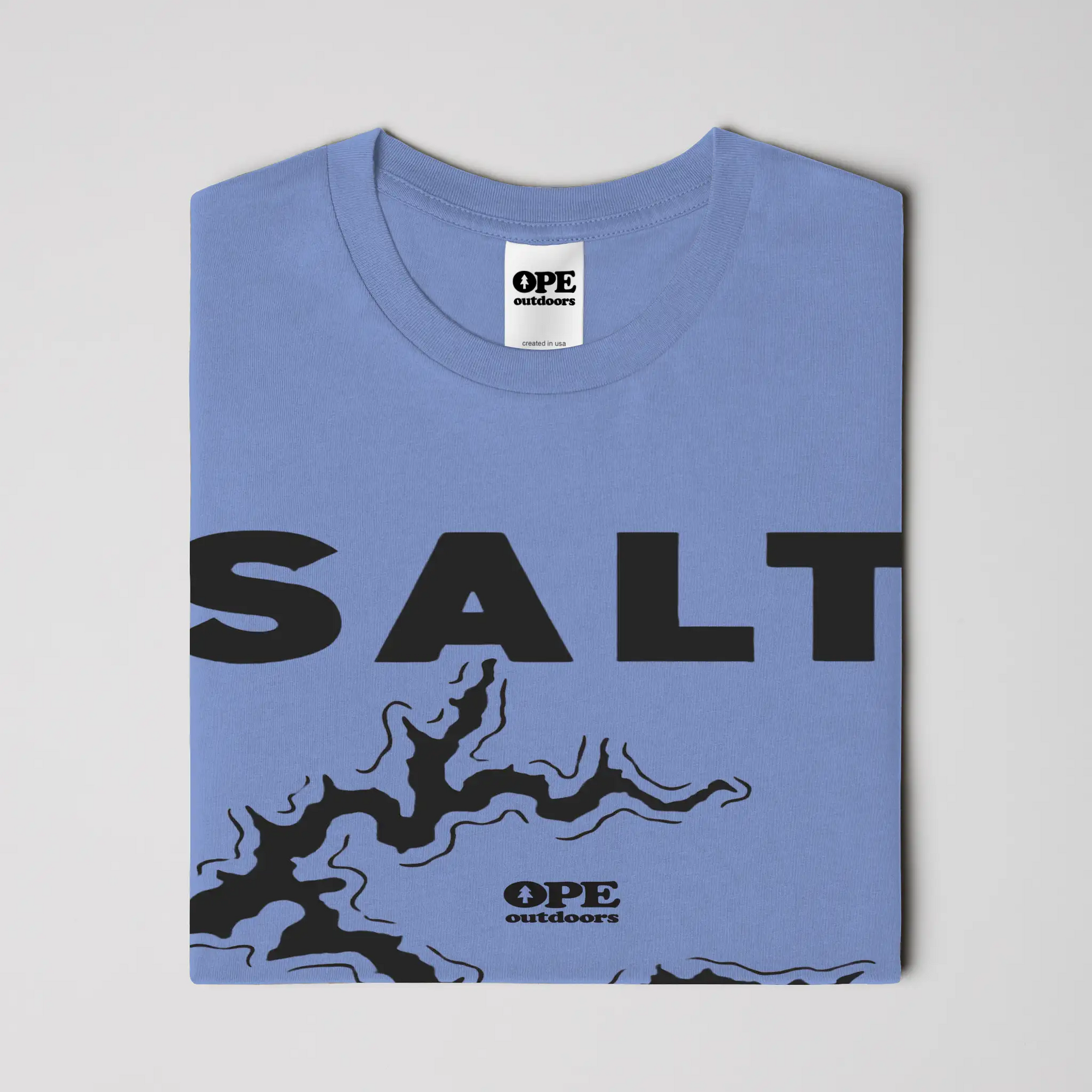 Salt Fork Lake T Shirt