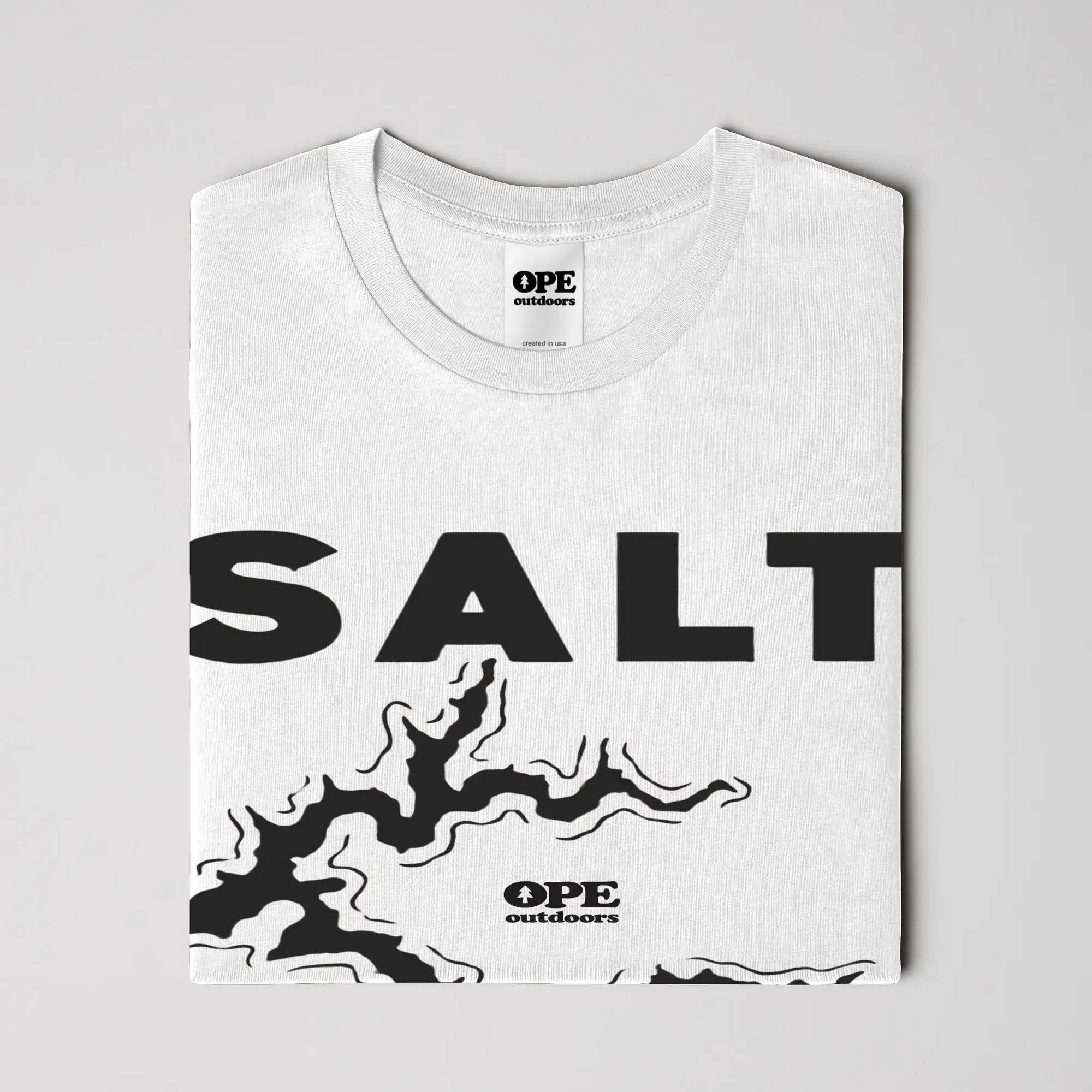 Salt Fork Lake T Shirt