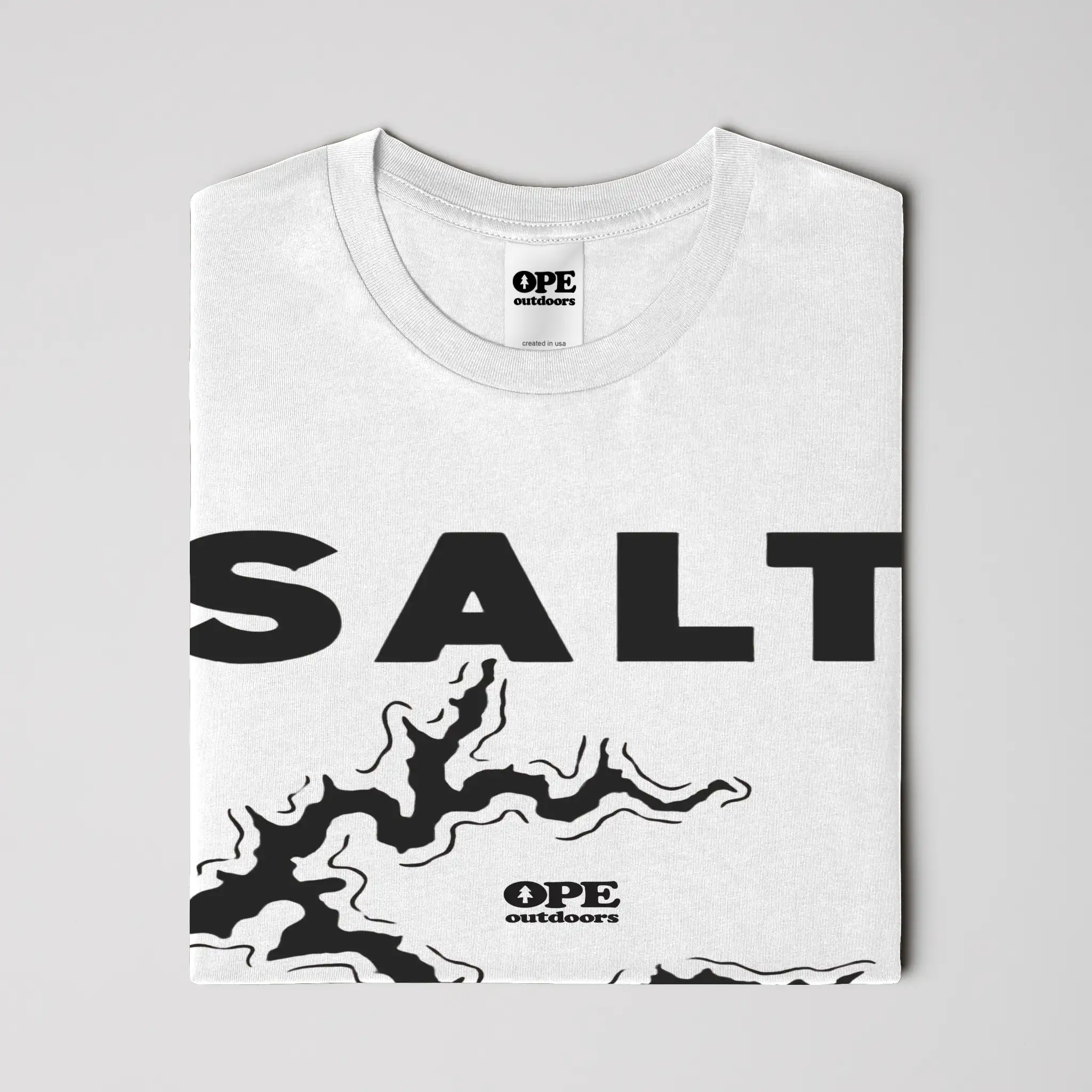 Salt Fork Lake T Shirt