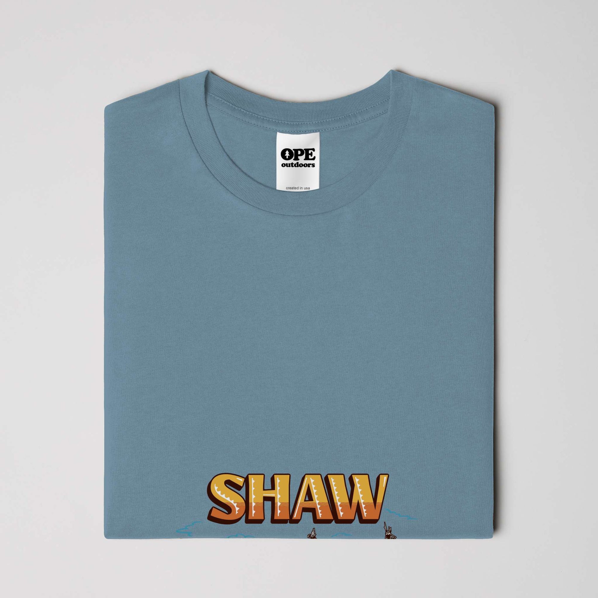 Shaw Neighborhood T Shirt