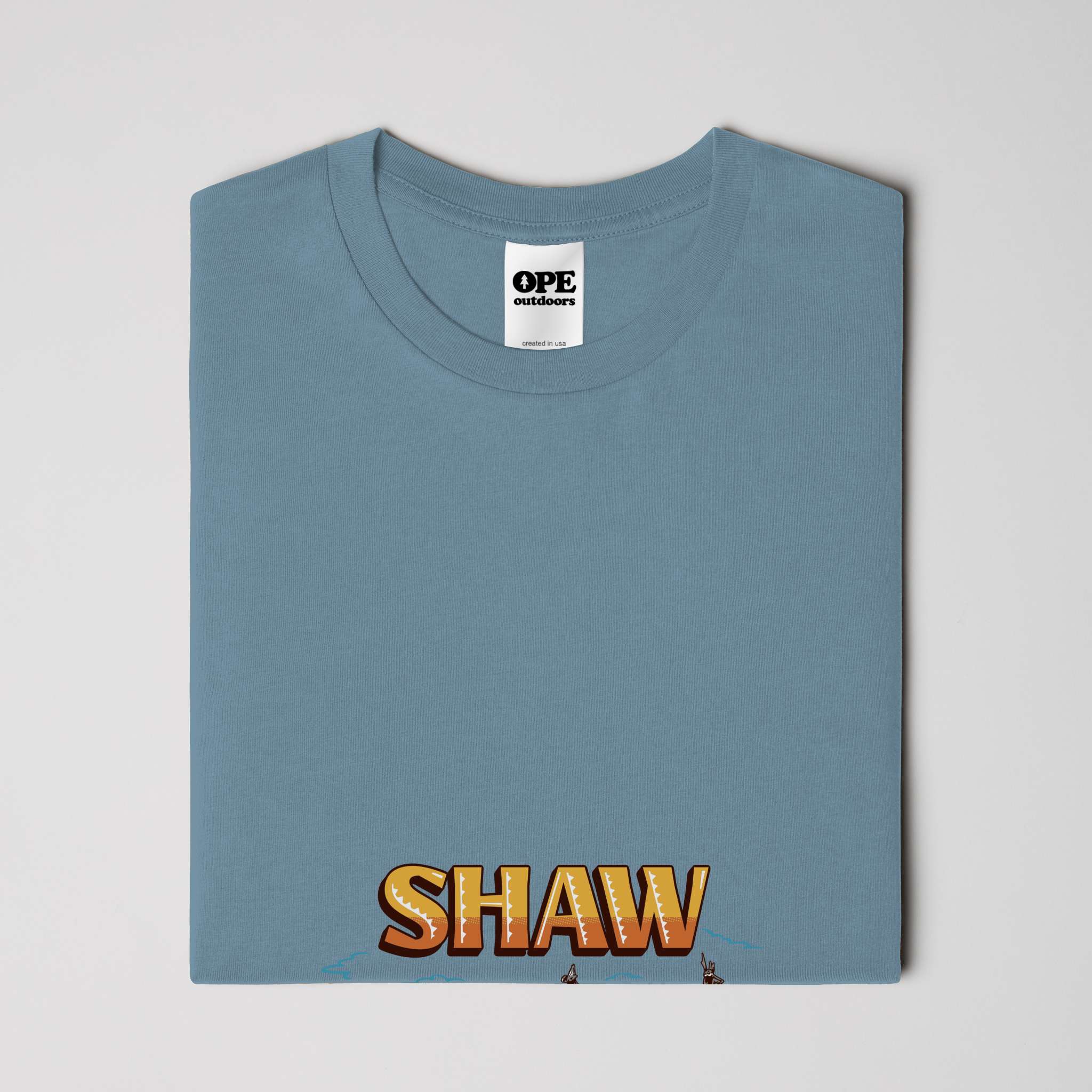Shaw Neighborhood T Shirt