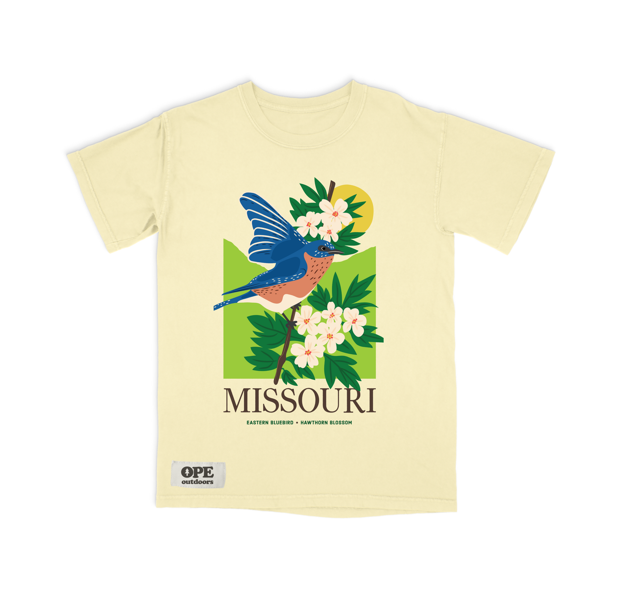 Missouri State Bird: The Blue Bird