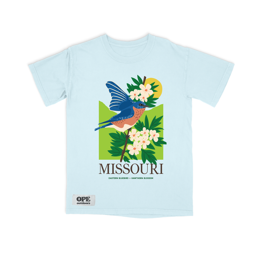 Missouri State Bird: The Blue Bird