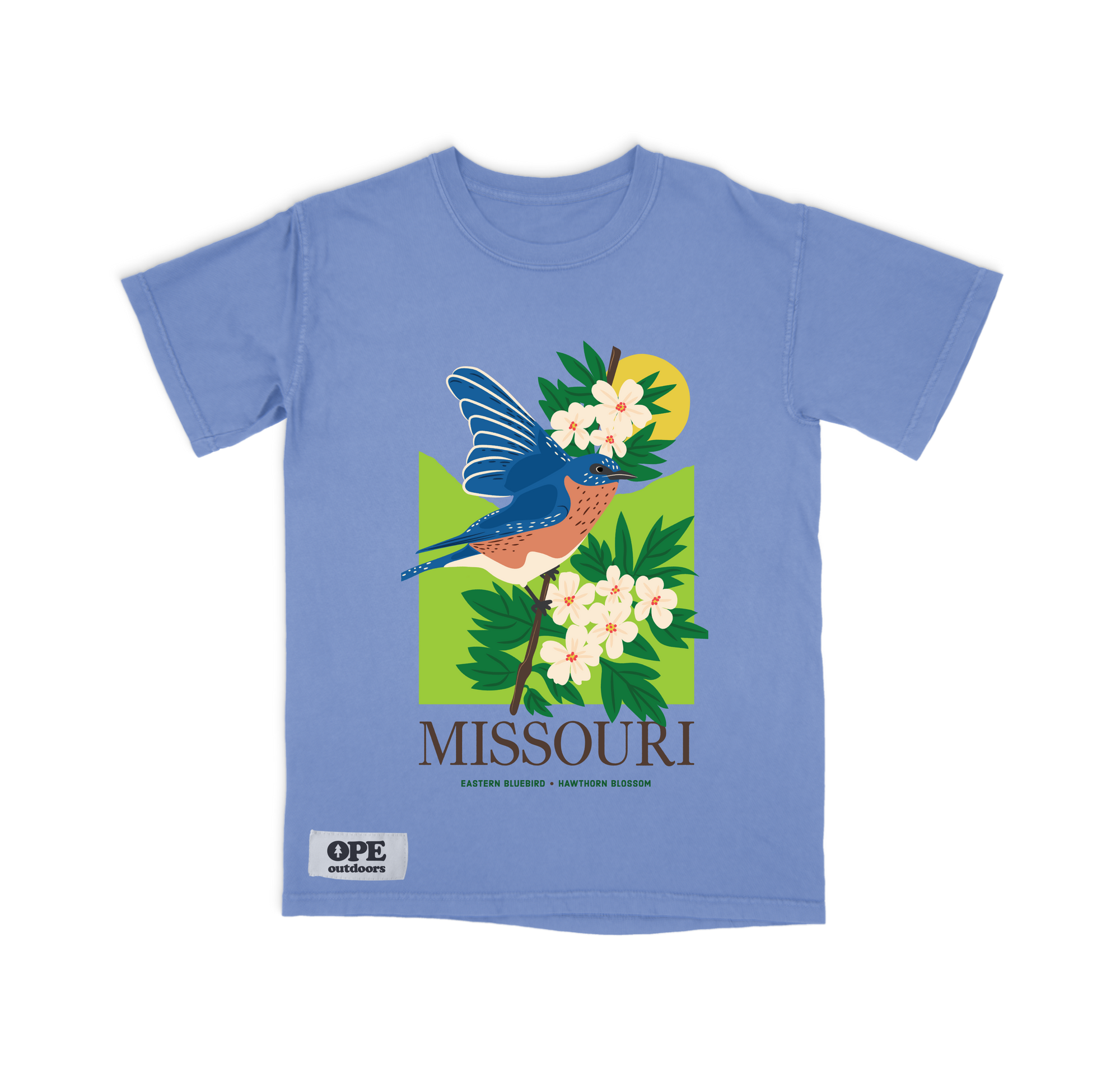 Missouri State Bird: The Blue Bird