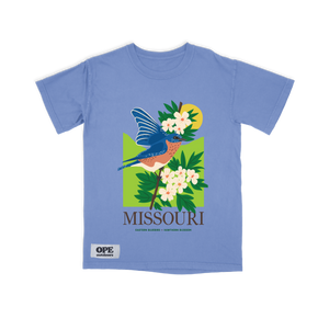 Missouri State Bird: The Blue Bird