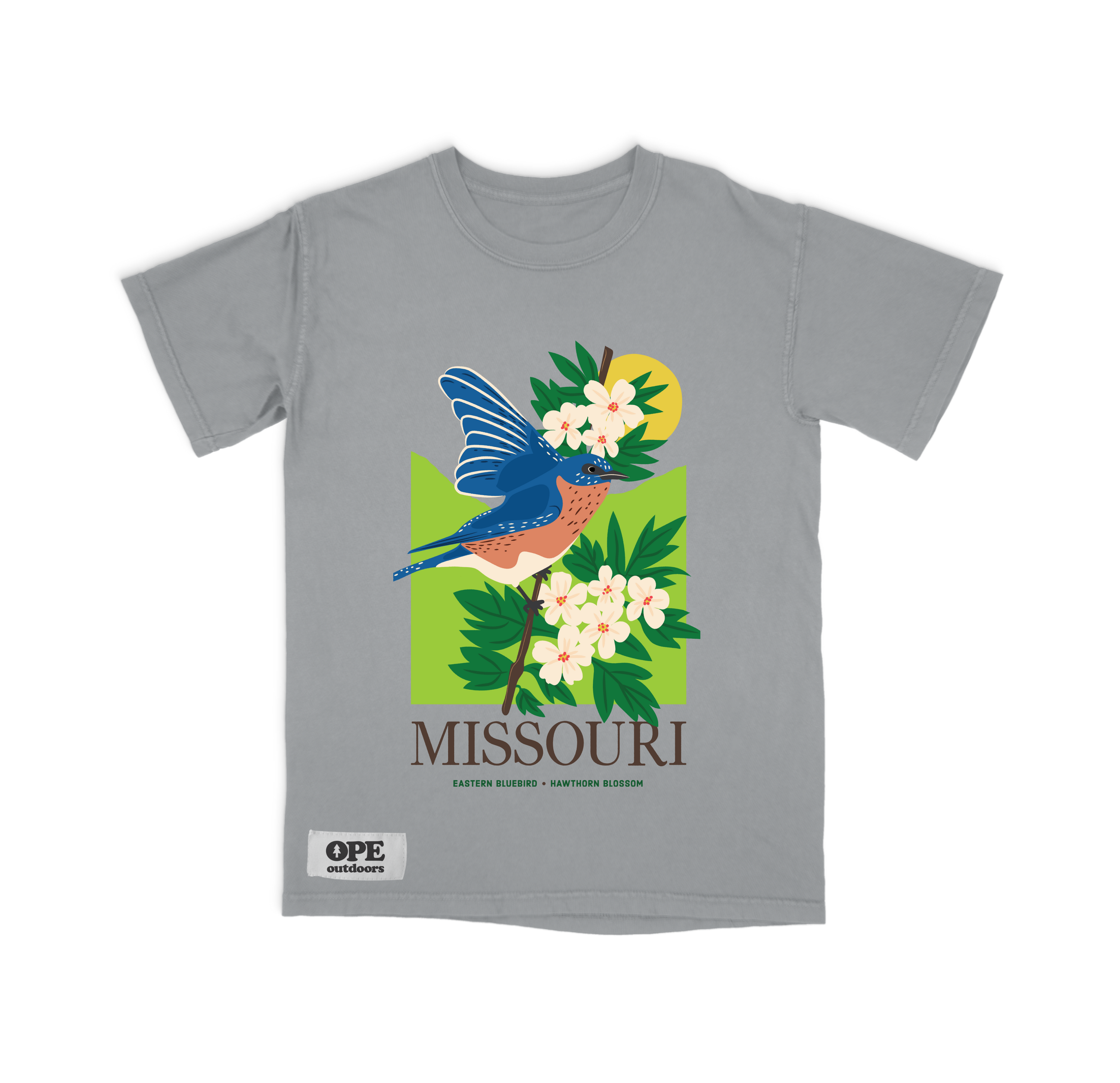Missouri State Bird: The Blue Bird