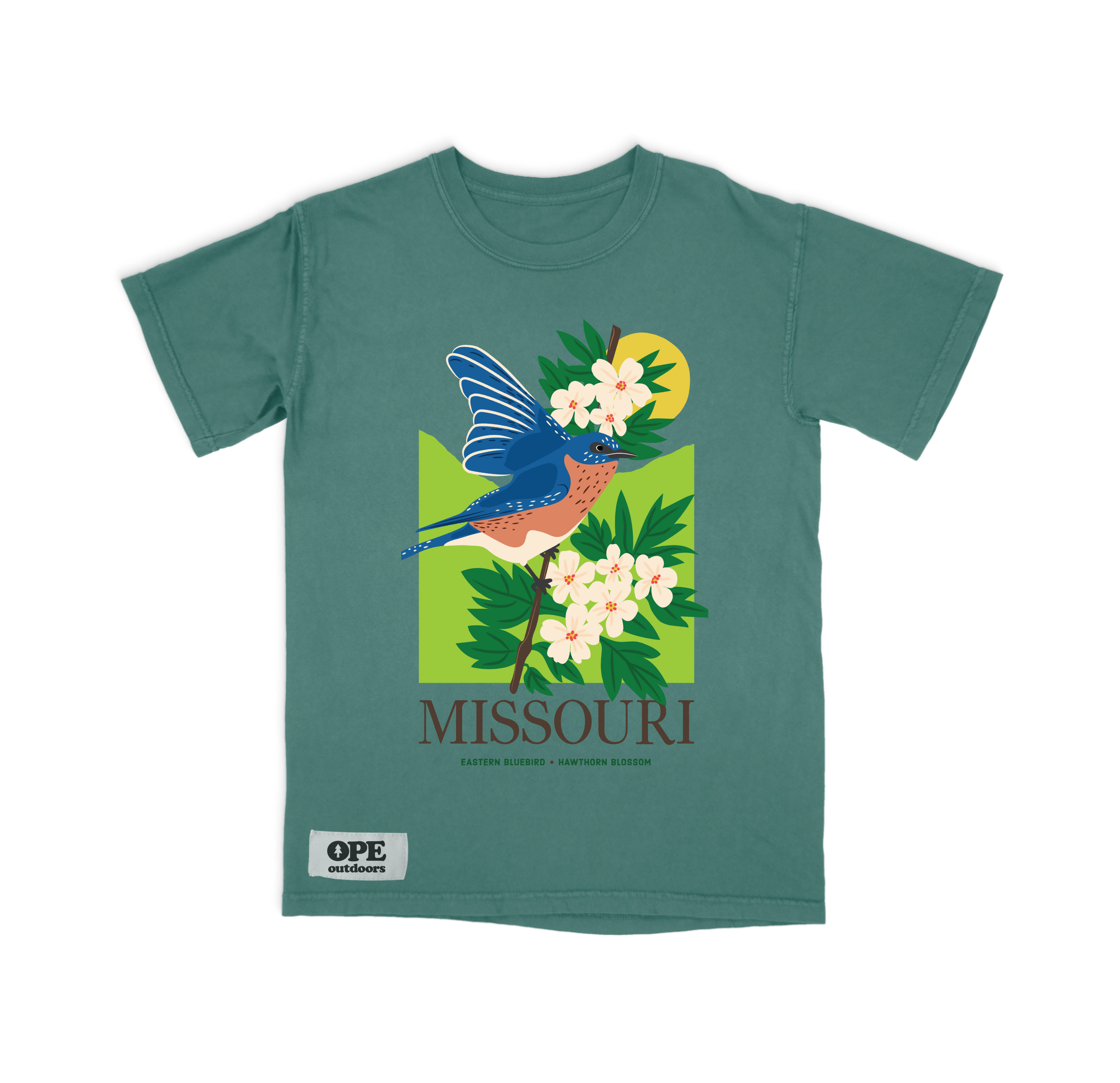 Missouri State Bird: The Blue Bird