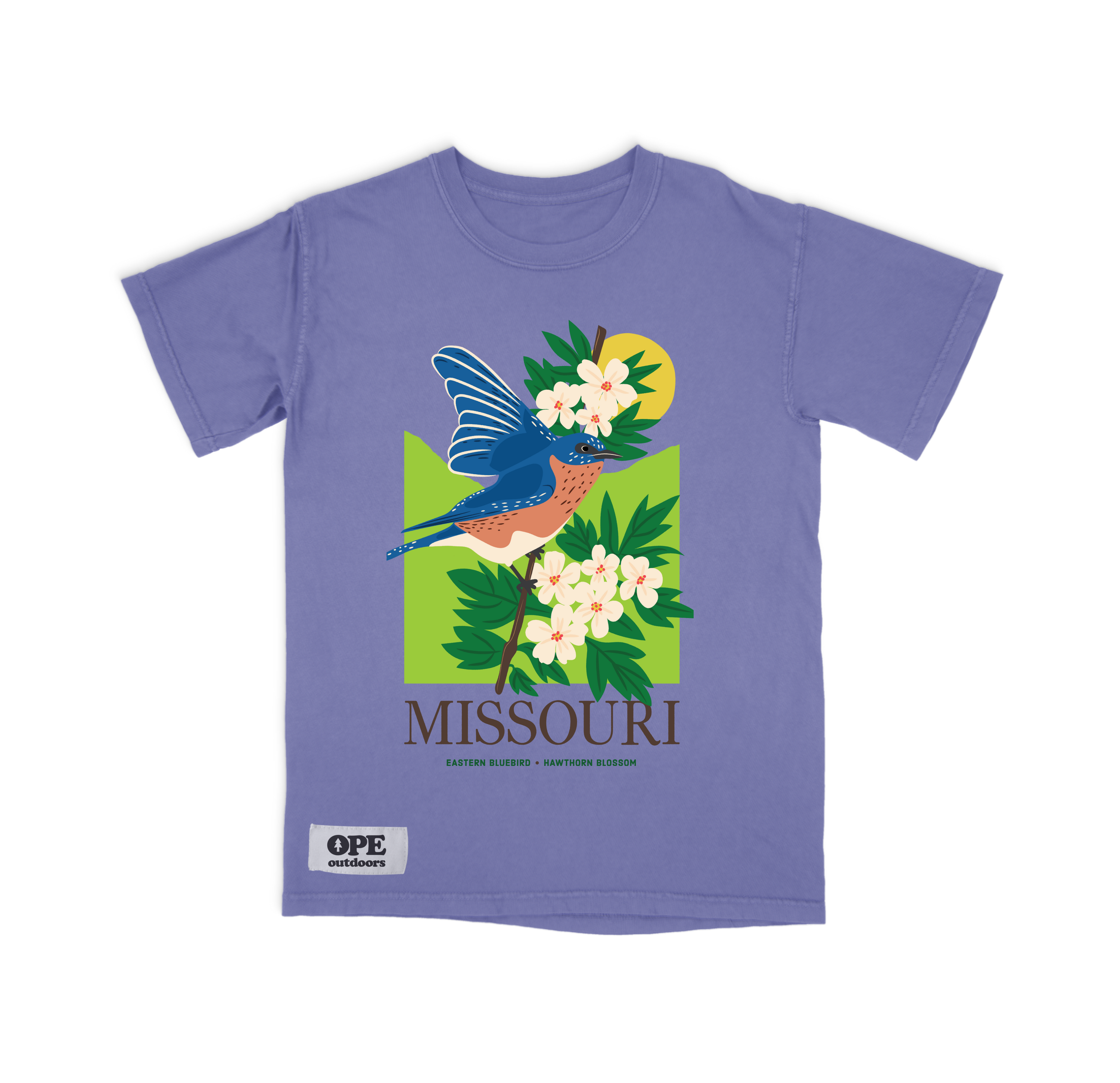 Missouri State Bird: The Blue Bird