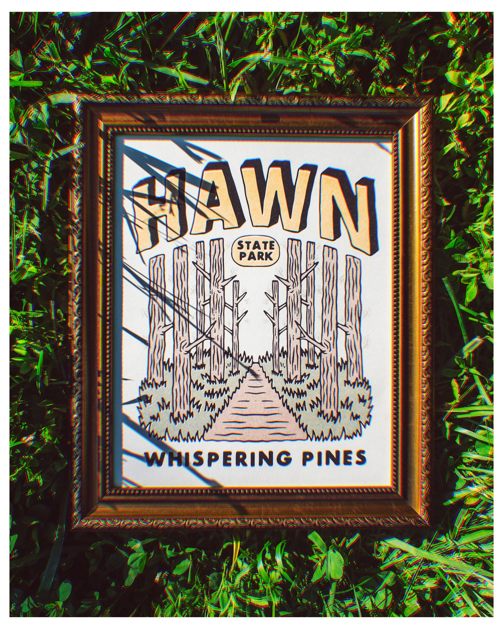 Hawn State Park Print