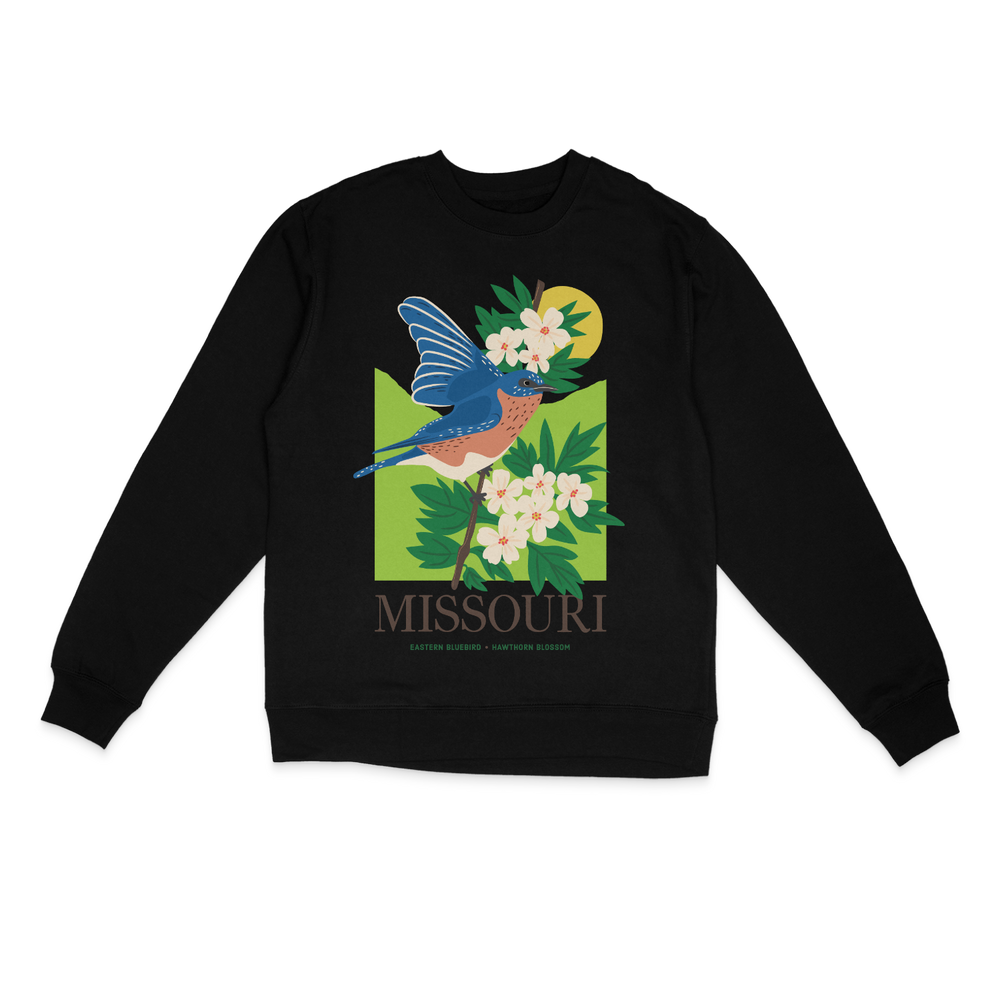 Missouri Blue Bird Sweater