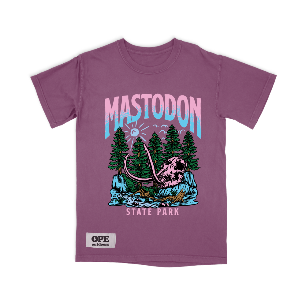 
                
                    Load image into Gallery viewer, Mastodon State Park T Shirt
                
            