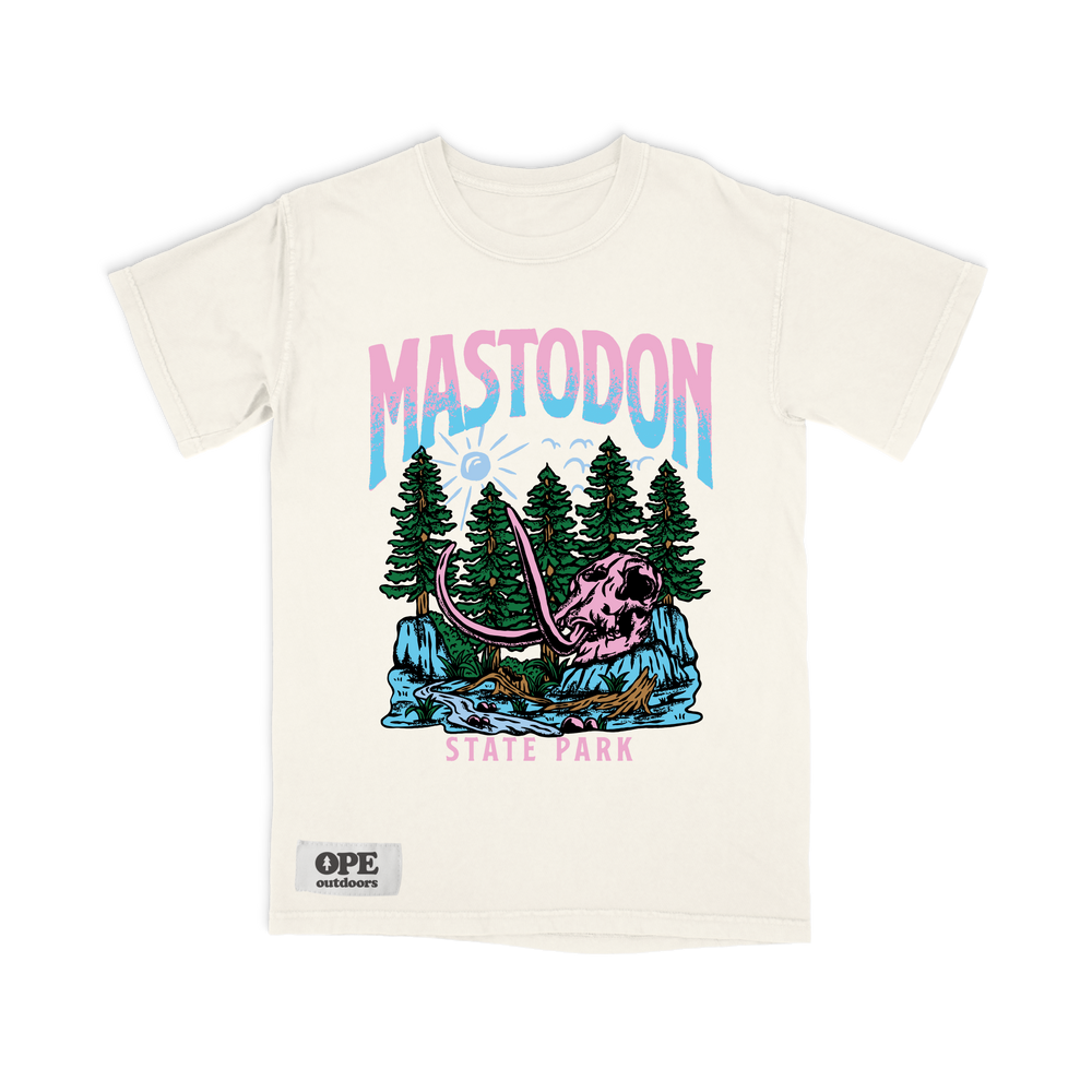 
                
                    Load image into Gallery viewer, Mastodon State Park T Shirt
                
            